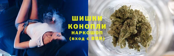 mdpv Бородино