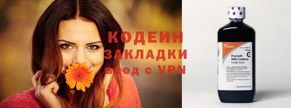 амф Бугульма