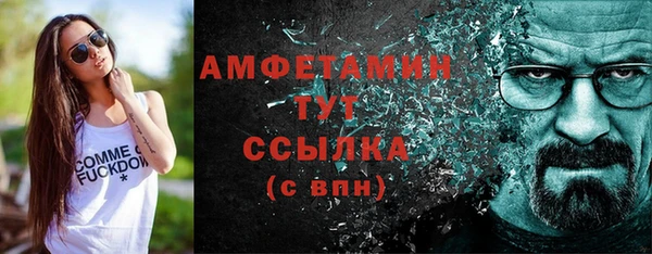 mdpv Бородино