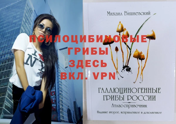 mdpv Бородино