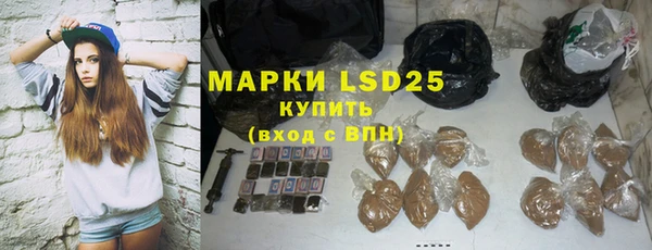 mdpv Бородино