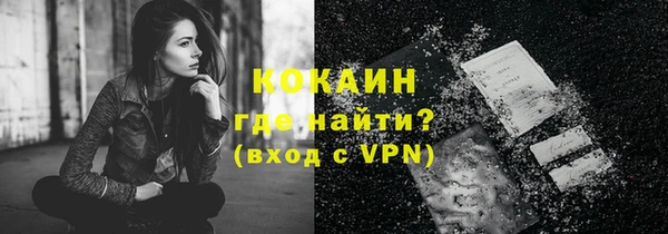 mdpv Бородино